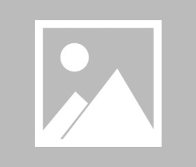 官方:托特纳姆热刺女足主帅维拉哈姆下课